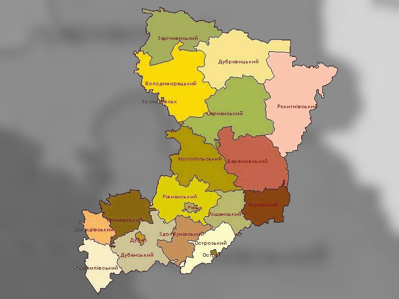 Чим займаються районні ради